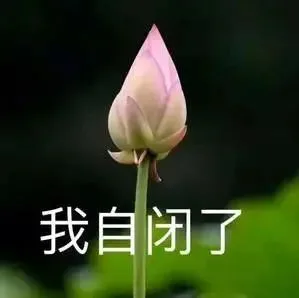 亚马逊或将上线这功能，这是要卷死的节奏呀！