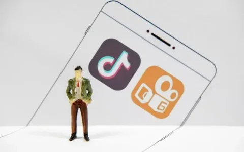 狙击Tik Tok，快手想用网赚的方式弯道超车