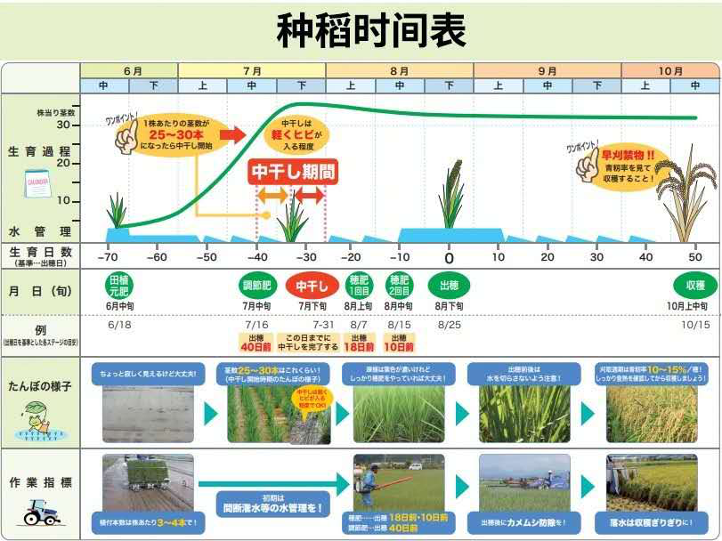 日本出了一款种田游戏，硬核到“农林水产省”成攻略网站