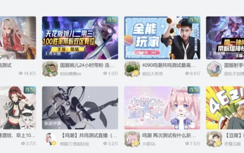 新游开团乱战，为何我仍看好《鸣潮》？